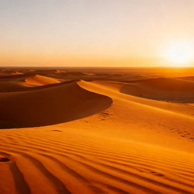 Desert